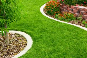 Different types of maintenance