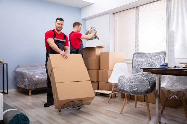 Facts About Movers and Packers