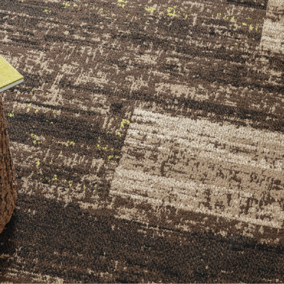Best Carpets For A Cozy And Comfortable Living Room